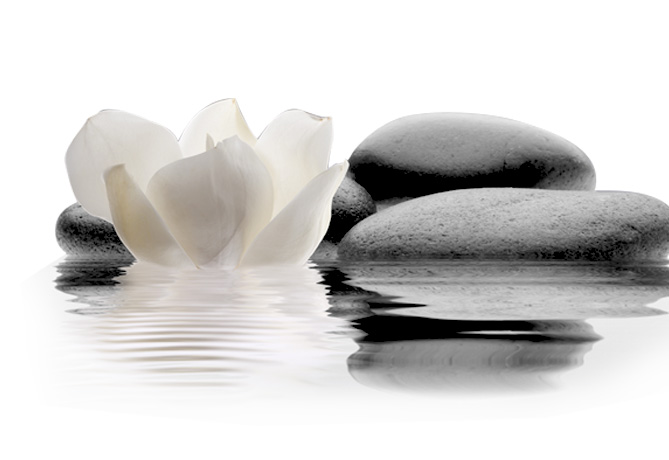 Patricia LAOUÉNAN : Thérapies Energétiques - Reiki - Plomodiern : Le chemin des Orchidées - Patricia LAOUÉNAN : Séances de Reiki traditionnel, de Reikiologie et de Relaxologie de pleine conscience, Relaxation méditative dans le Finistère 29. Membre de la FFRT-  Le chemin des Orchidées